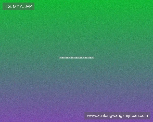 尊龙官网完整版全方位解析，提供最新版本更新内容与活动信息